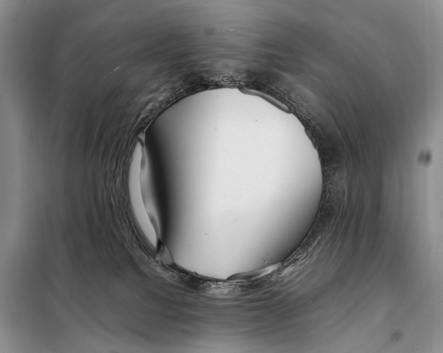 X0000097880088200804111002