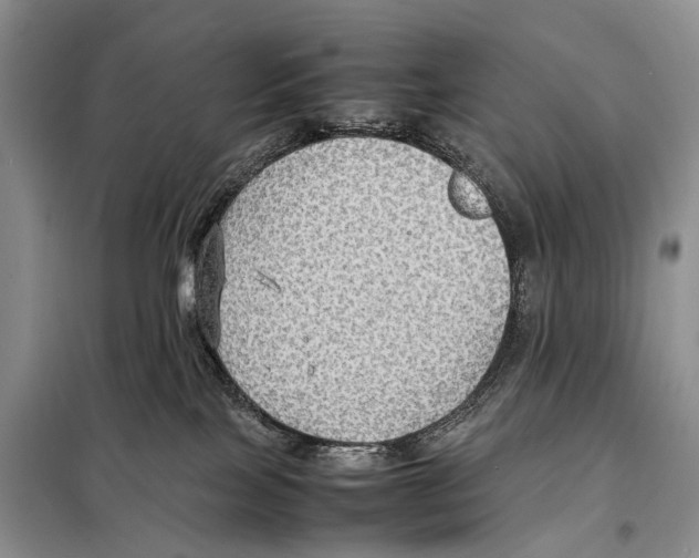 X0000097880089200804111002