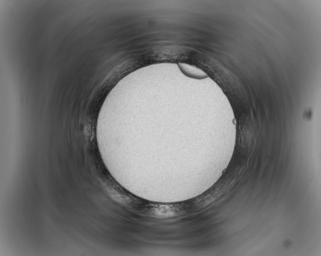 X0000097880091200804111002