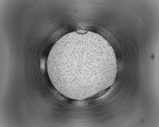 X0000097880094200804111002