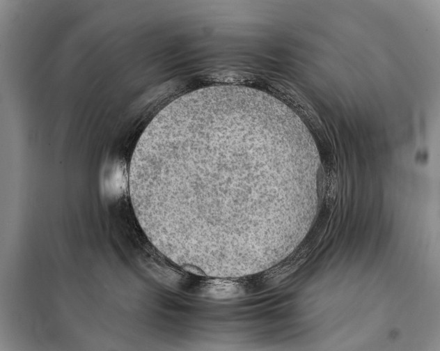 X0000097880095200804111002