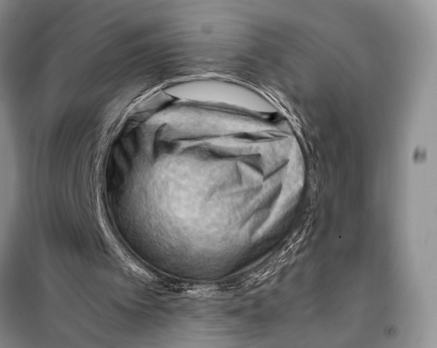 X0000097880097200804111002