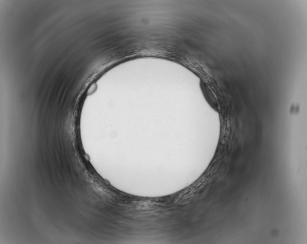 X0000097880098200804111002