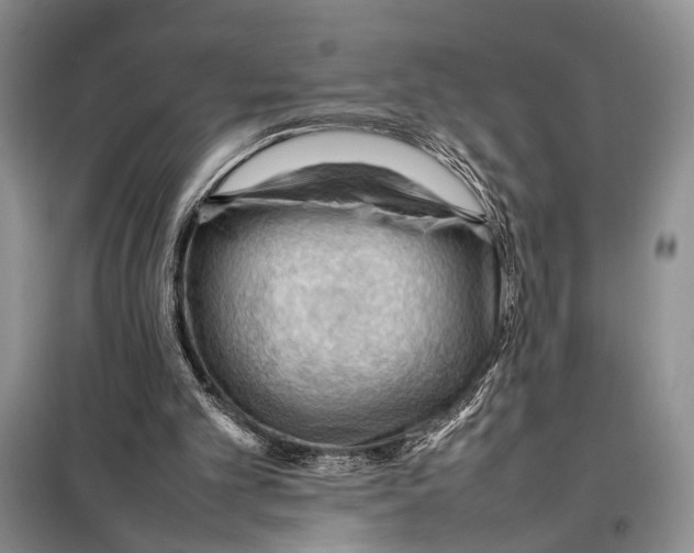 X0000097880101200804111001