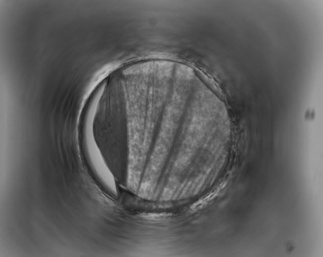 X0000097880104200804111001