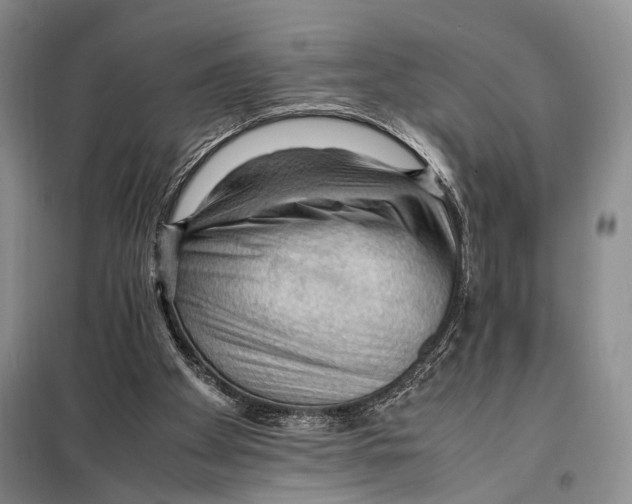 X0000097880105200804111001