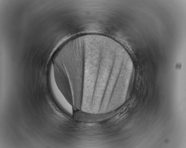 X0000097880108200804111001