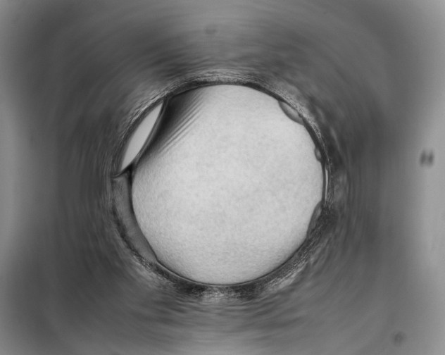 X0000097880109200804111001