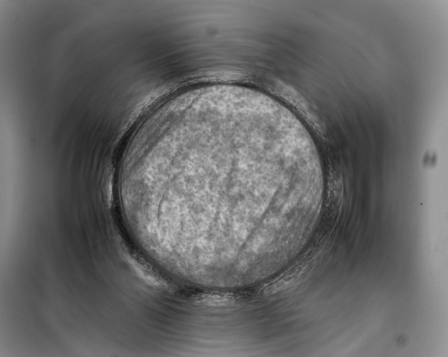 X0000097880110200804111001