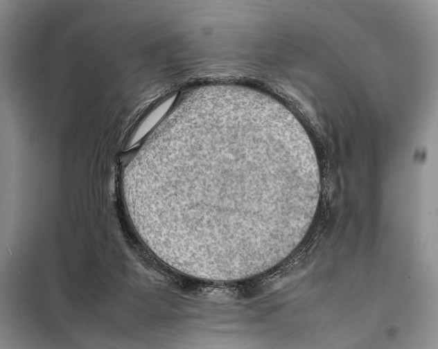 X0000097880115200804111001