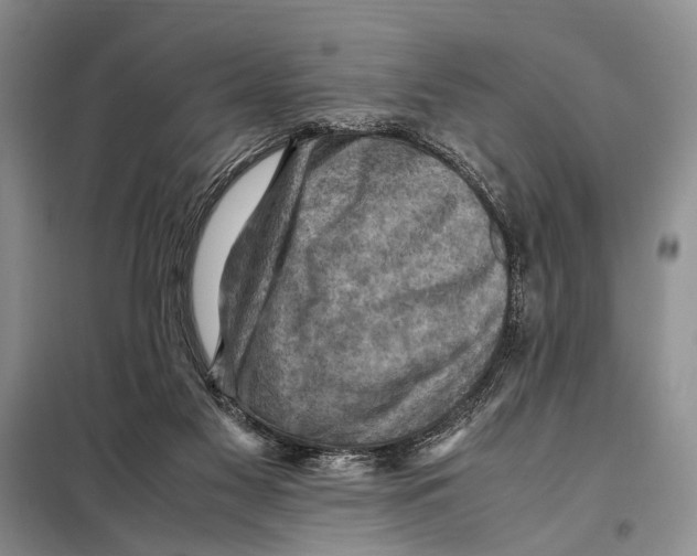 X0000097880117200804111001