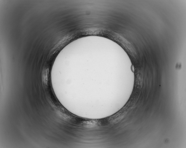 X0000097880118200804111001