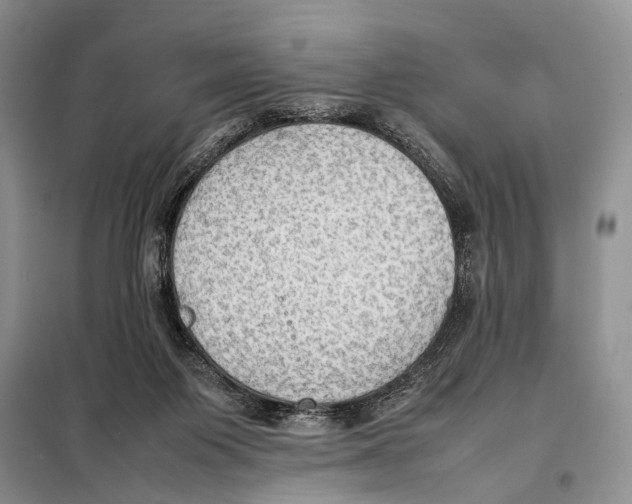 X0000097880119200804111001