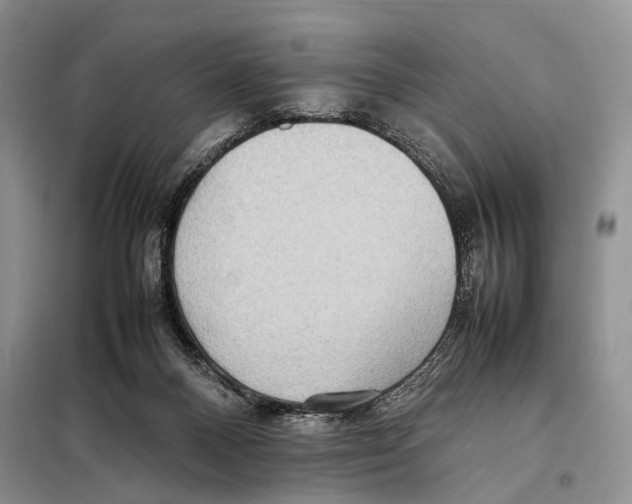 X0000097880120200804111001