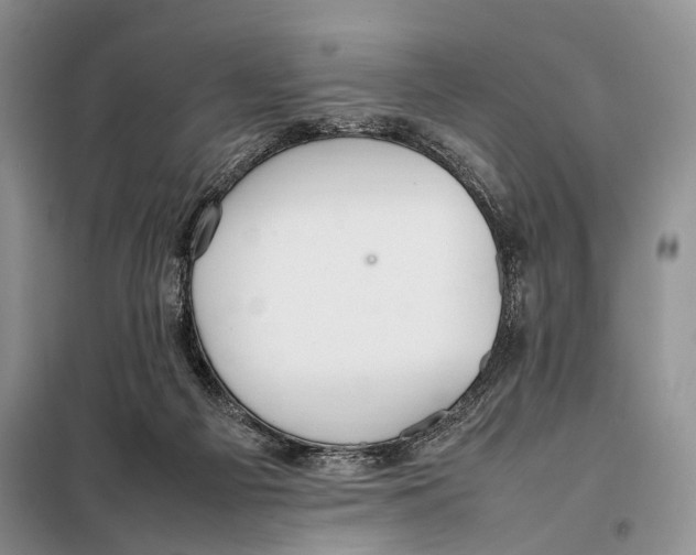 X0000097880121200804111001