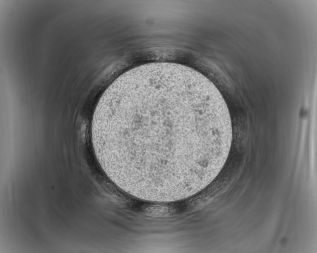 X0000097880123200804111001