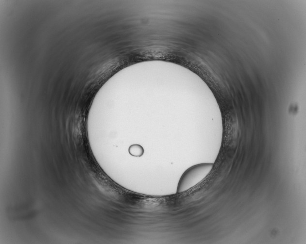 X0000097880126200804111001