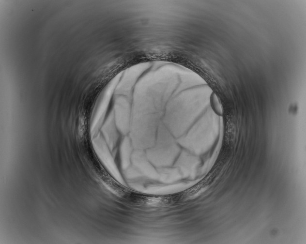 X0000097880130200804111001