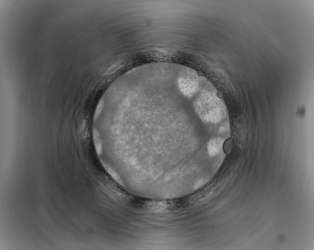 X0000097880131200804111001