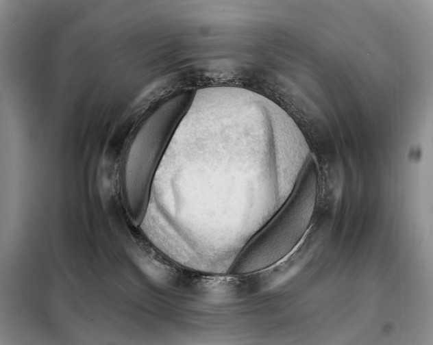 X0000097880136200804111001