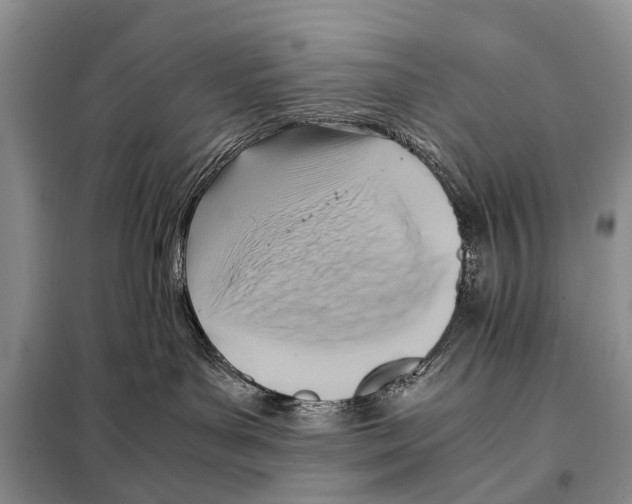 X0000097880143200804111001