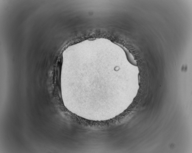 X0000097880144200804111001