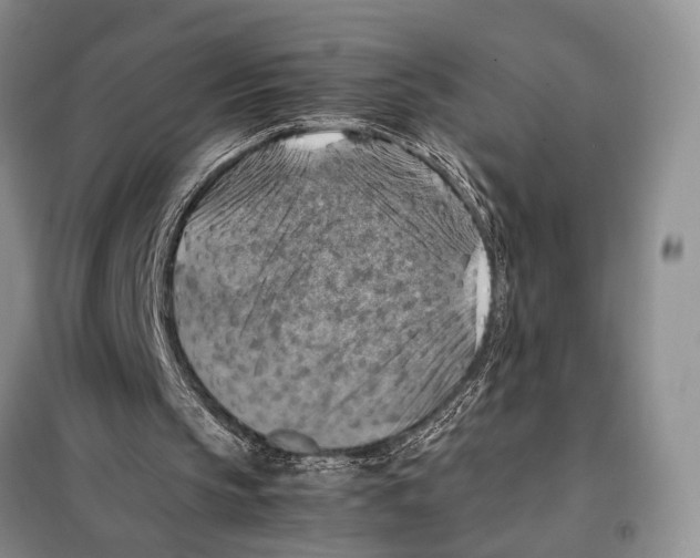 X0000097880145200804111000