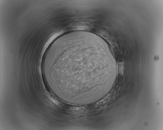 X0000097880147200804111000