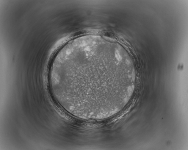 X0000097880149200804111000