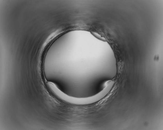 X0000097880150200804111000