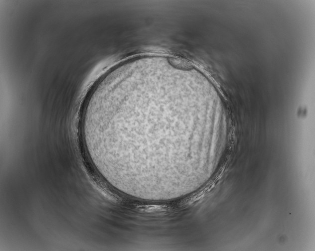 X0000097880151200804111000