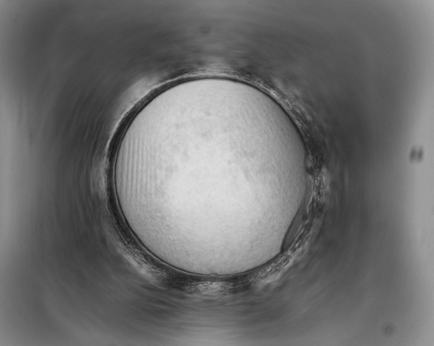 X0000097880152200804111000