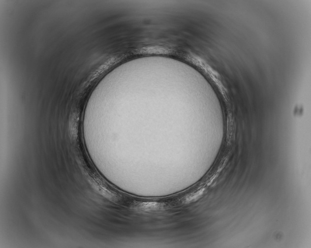 X0000097880153200804111000