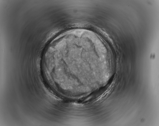 X0000097880154200804111000