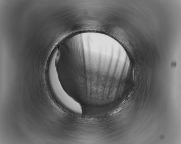 X0000097880156200804111000