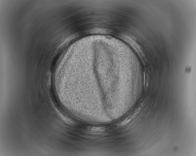 X0000097880157200804111000