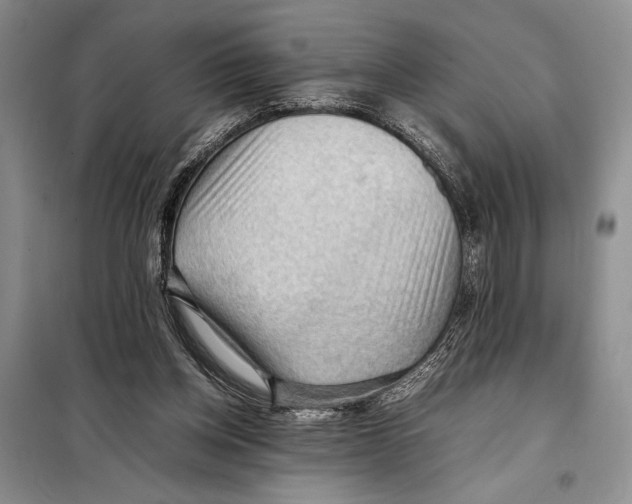 X0000097880158200804111000