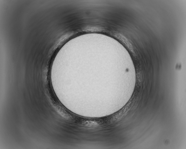 X0000097880159200804111000