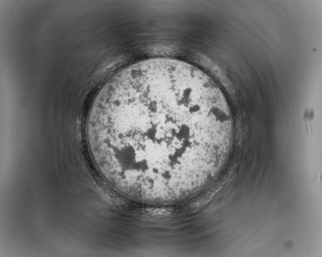 X0000097880161200804111000