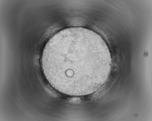 X0000097880162200804111000