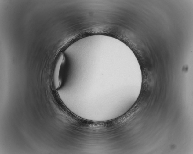 X0000097880164200804111000