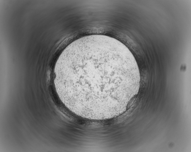 X0000097880166200804111000