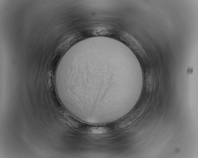 X0000097880169200804111000