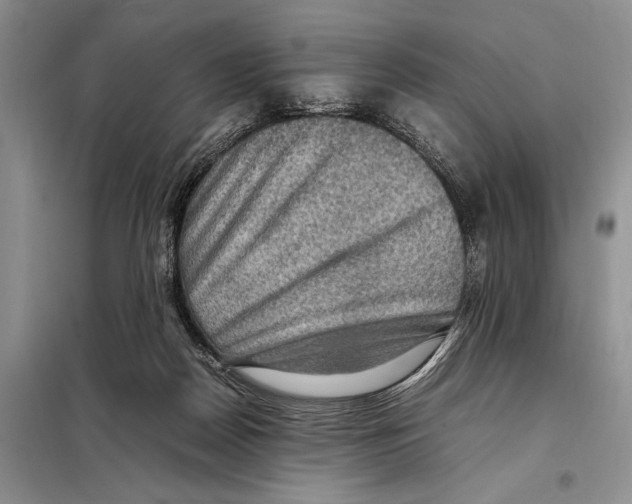 X0000097880170200804111000