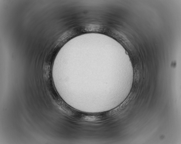 X0000097880171200804111000