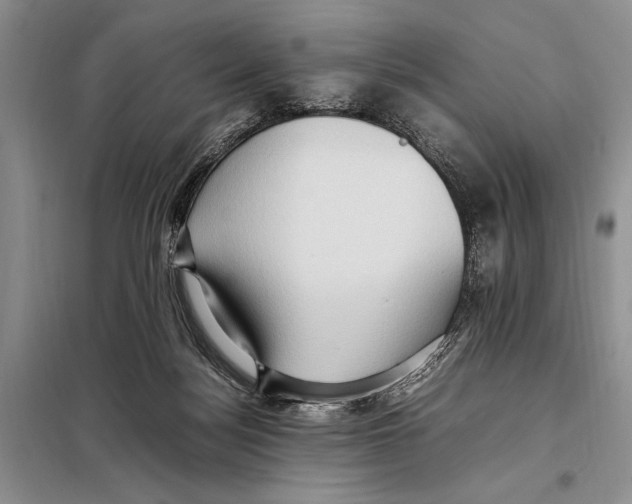 X0000097880172200804111001