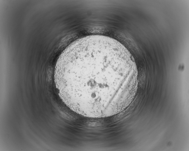 X0000097880175200804111001