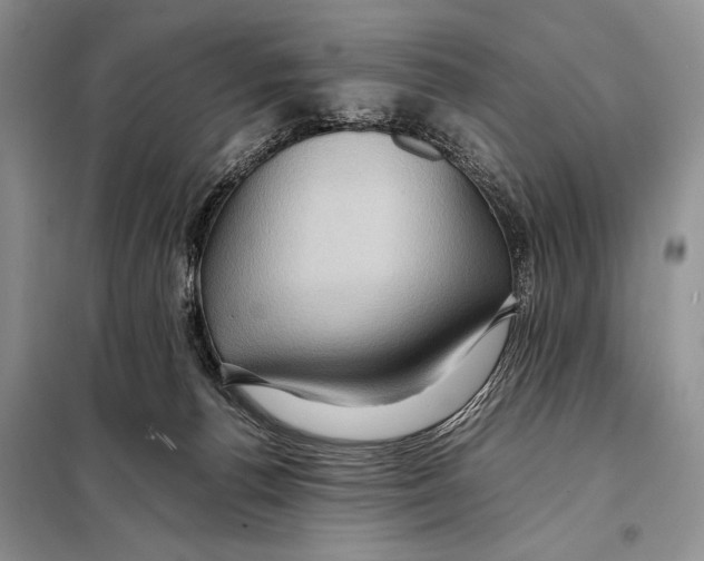 X0000097880176200804111001