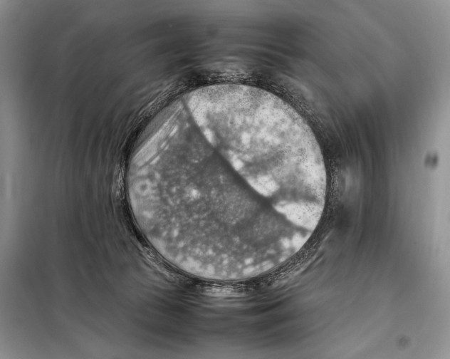 X0000097880177200804111001