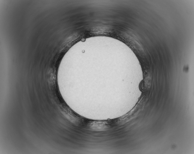 X0000097880179200804111001